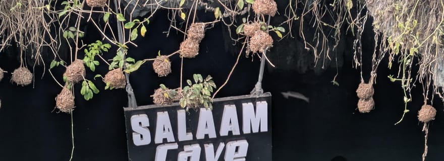 Zanzibar : nagez avec les tortues de mer et nourrissez-les à la grotte de Salaam. Un souvenir inoubliable.