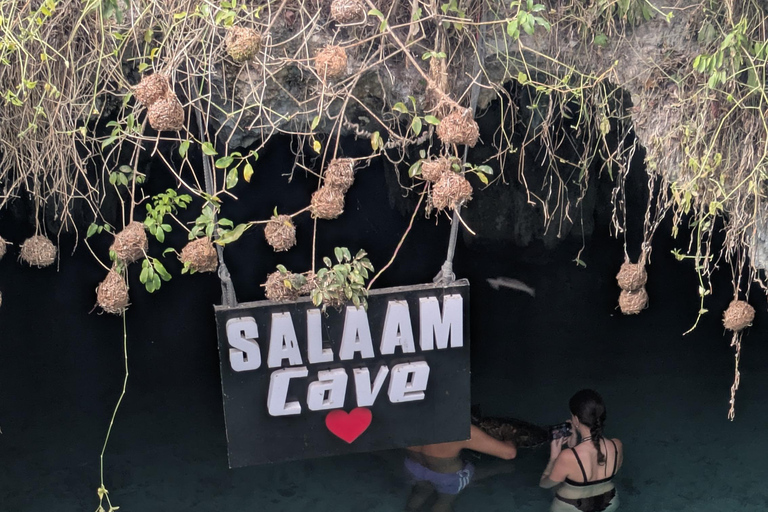 Zanzibar: Sea turtle Swim at Salam cave in Kizimkazi village Zanzibar: Swim with sanctuary Tortoise at salam and transfer