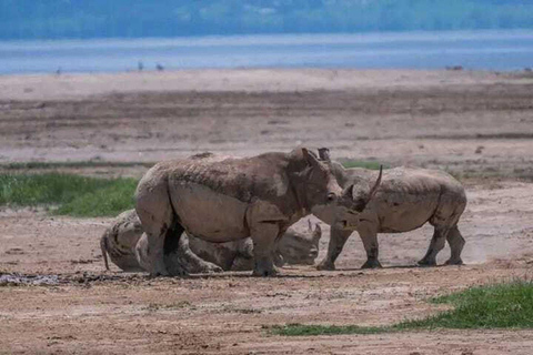 Nairobi: Lake Nakuru National Park Day Trip with Game Drive