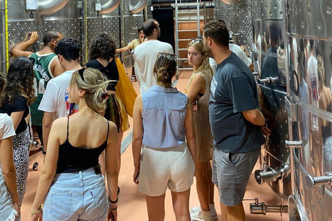 Santorini: Vineyard Tour with Wine Tasting and Local Bites Private Wine Tour