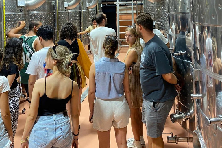 Santorini: Vineyard Tour with Wine Tasting and Local Bites Private Wine Tour