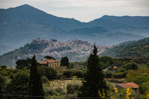 Piedimonte Etneo: Tour del Treno del Vino dell'Etna e degustazione di vini siciliani