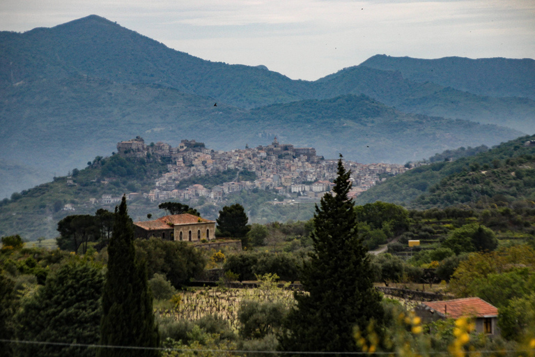 Piedimonte Etneo: Tour del Treno del Vino dell'Etna e degustazione di vini siciliani