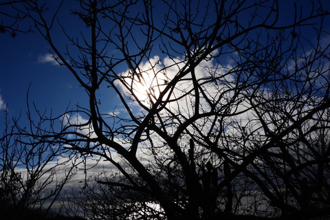 3-Day Galapagos Trip for Traveler Without Much Time