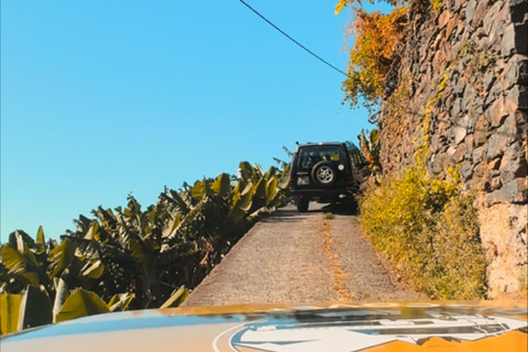 ماديرا وايلد ويست 4X4 جولة سفاري