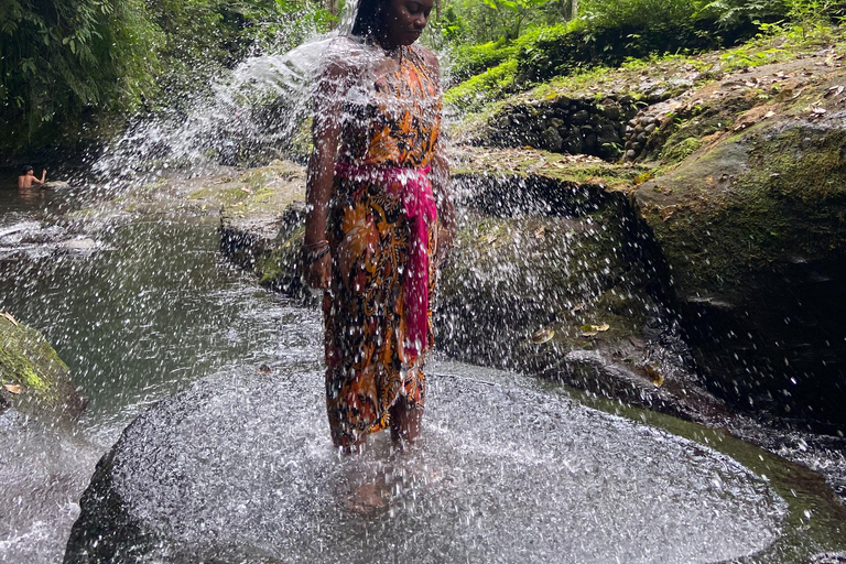 Bali: Tour del villaggio di Taro e del tempio dell&#039;acqua di sorgente sacraTour del Tempio dell&#039;Acqua Santa con trasporto da Ubud