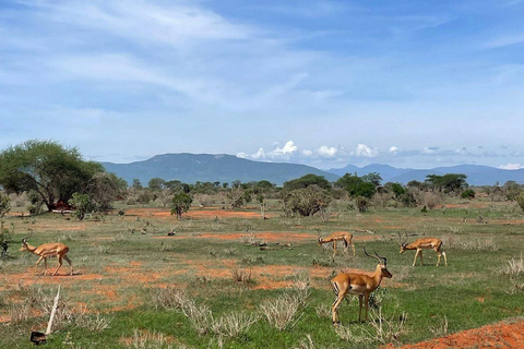 Mombasa/Diani: 2-Day Tsavo East Safari with Meals Private day tour to Tsavo East National Park - VAN