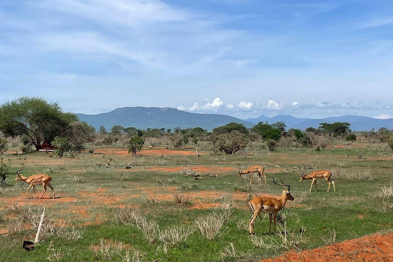 Mombasa/Diani: 2-Day Tsavo East Safari with Meals Private day tour to Tsavo East National Park - VAN