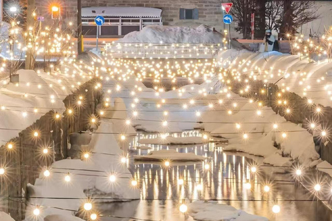 Sapporo: Jozankei Snow Lantern Path Trip-Private group