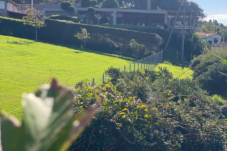Ancient Olympia: Agrotourism tour, honey, wine, and oil tasting.