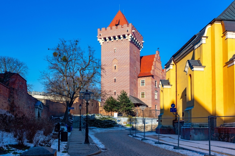 Poznan: Leg de meest fotogenieke plekken vast met een plaatselijke bewonerPoznan: Fotogenieke hoogtepunten tour met een local