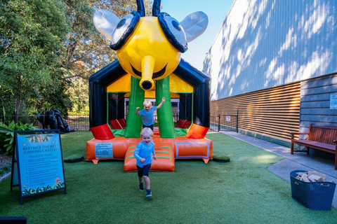 The Sunshine Coast: The Ginger Factory Play All Day