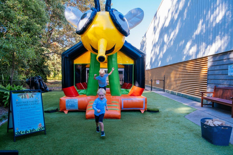 The Sunshine Coast: The Ginger Factory Play All Day