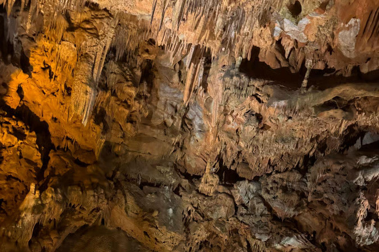 Alanya Sunset &Night Tour:Castle Cable Car & Cleopatra Beach Half Day City Tour No Transfer No Cable Car