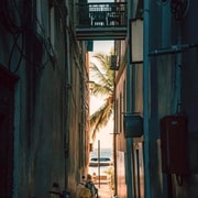 Spice tour+ Stone town walking tour | GetYourGuide