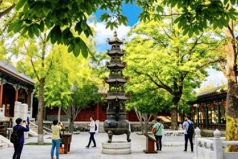 Beijing:Bullet Train Day Tour to Shaolin Temple&Martial Arts