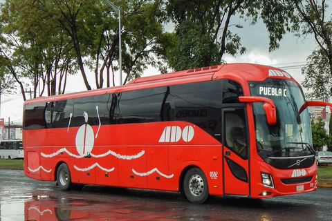 Cancun: Airport Transfer to/from Downtown by Bus Single Bus Ticket from Cancun Airport to Downtown Cancun