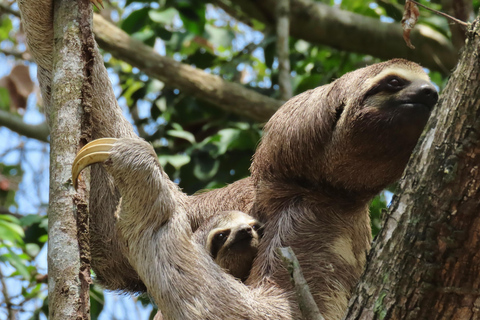 Tayrona National park hike experience