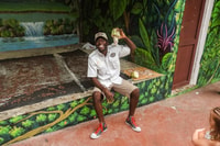 Punta Cana, Safari y plantación de medio día de Monkey Land - Housity