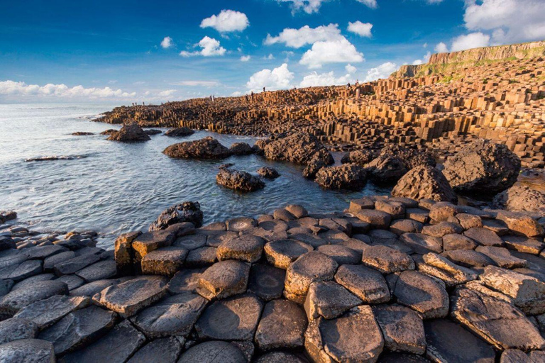 Giant's Causeway + Dark Hedges Day Tour