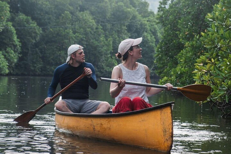 Galle: Lagoon Canoeing Tour with Hotel Pickup