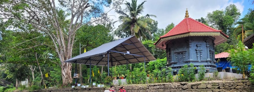 Excursion d'une journée en kayak dans un village au bord des eaux calmes du Kerala (Nedumudy)