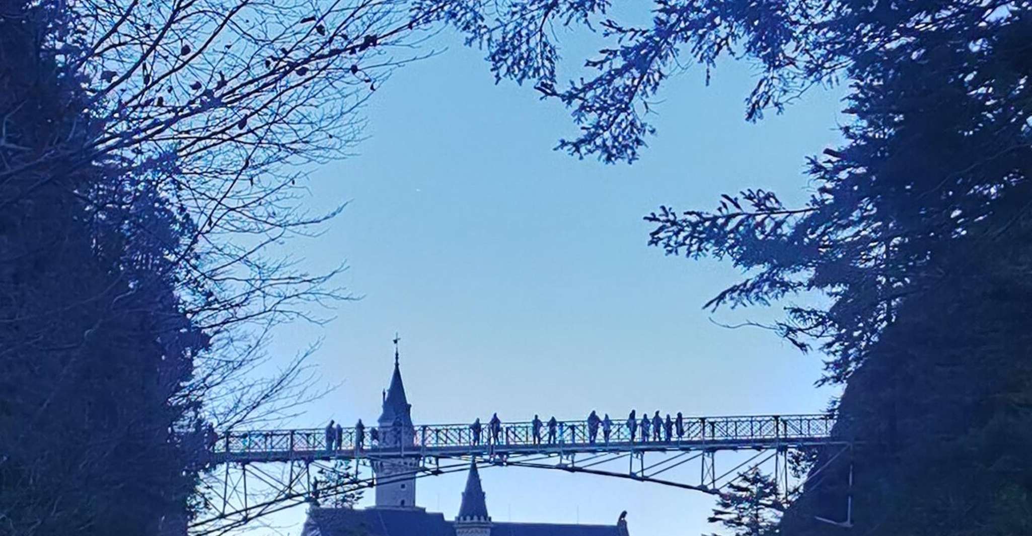 Munich: Neuschwanstein by Bus & Opt. Munich Xmas Market Tour photo 9