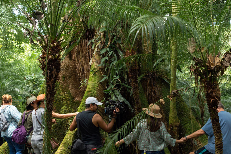 Tapachula: Argovia Coffee, Flowers, and Legacy Tour