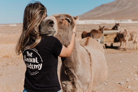 The Animal Academy - Visite du refuge