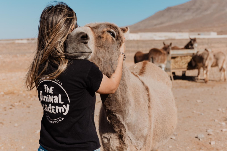 The Animal Academy - Visita ao abrigo