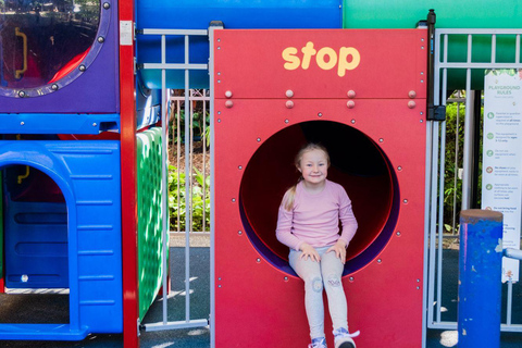 The Sunshine Coast: The Ginger Factory Play All Day