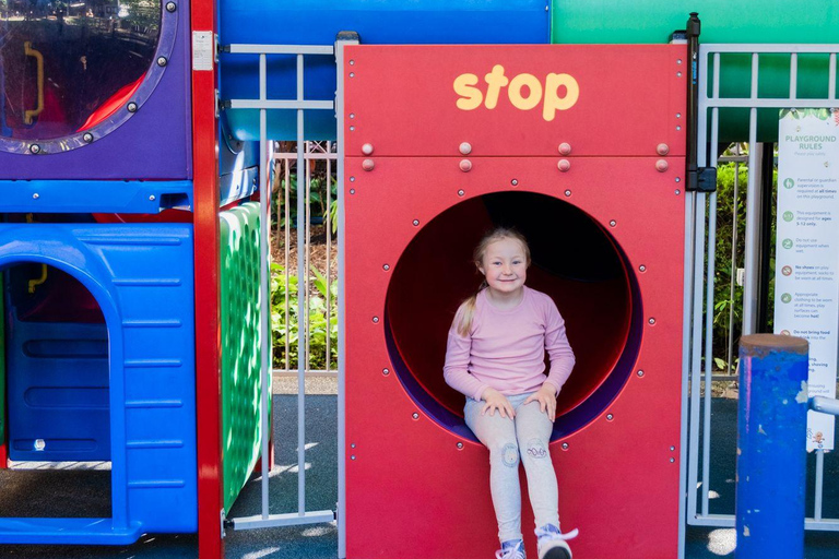 The Sunshine Coast: The Ginger Factory Play All Day