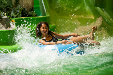 Pfäffikon: Daily Ticket to Switzerland's largest water park