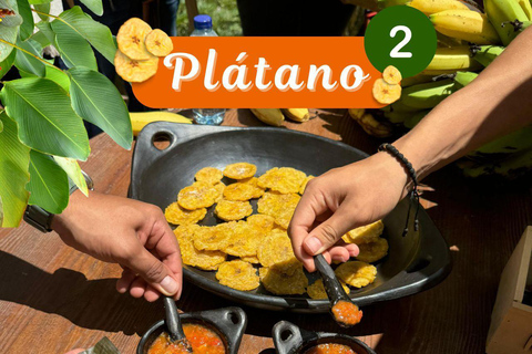 Medellin: Coffee and fruit tour