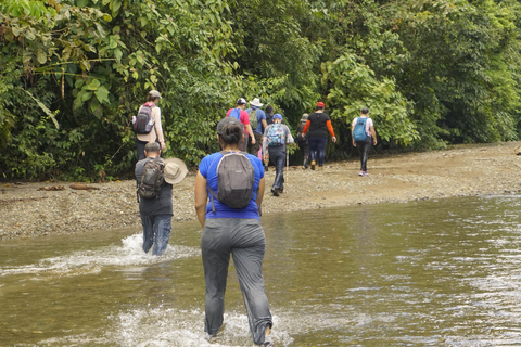 La Gamba: Nationalpark Piedras Blancas