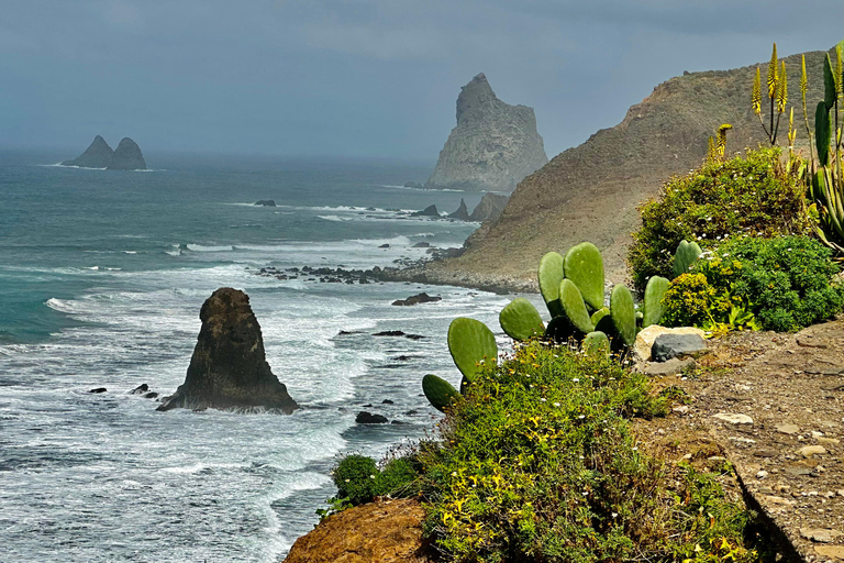 Tenerife: Anaga Hidden Gems Tour with Free Pickup Explore Anaga's hidden gem. Private tour.