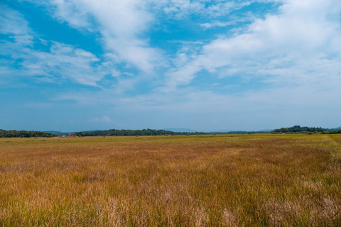 Goa: Excursão à Velha Goa e à Ilha de Divar com almoço