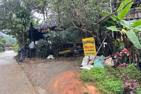 Chiang Mai: Doi Inthanon Pha Dok Siew Trek & Karen Culture