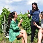 Da Bordeaux: tour enologico del Médoc e di Margaux con tagliere gourmet