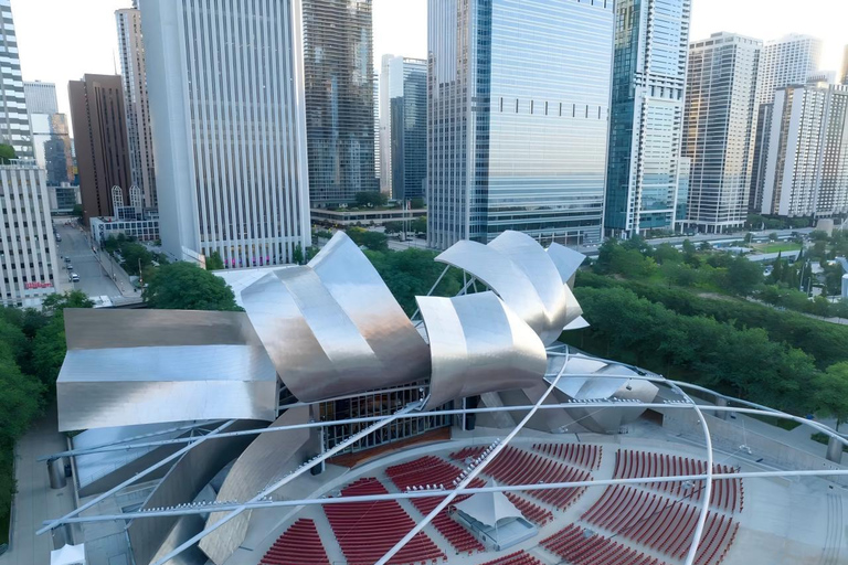 Chicago: Millennium Park Guided Walking Tour
