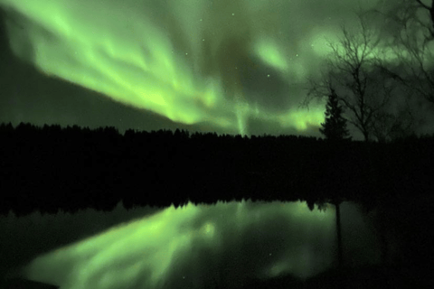 Rovaniemi : Private Midnight Aurora Borealis expedition