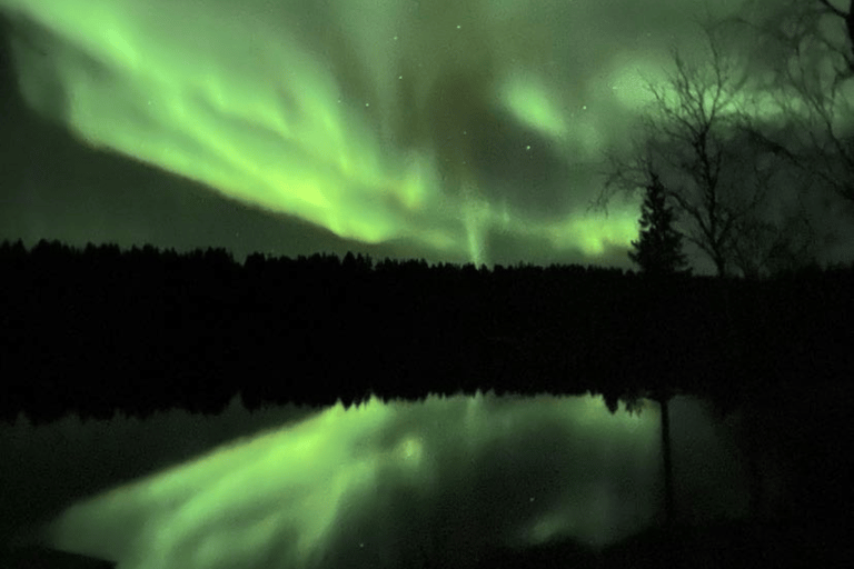 Rovaniemi : Private Midnight Aurora Borealis expedition