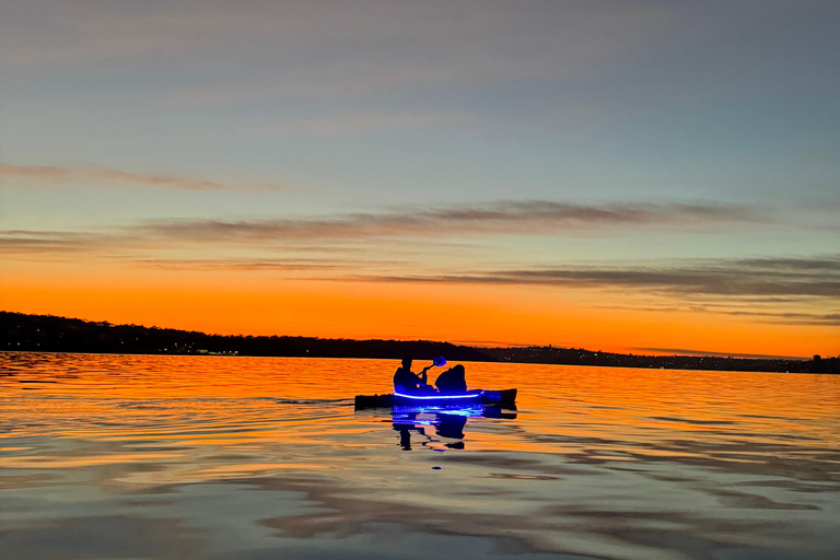 Sydney: Harbour Sunrise Kayak TourSonnenaufgang Einzel Kajak Tour