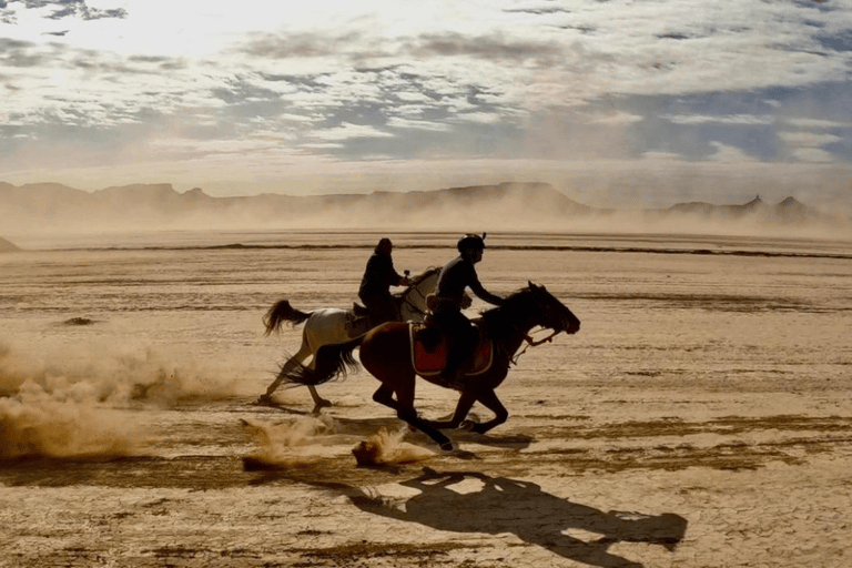 Reite durch die Dünen: Wüstenabenteuer zu Pferd in Doha