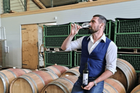 Bucharest: Tour The Wine Road, 2 Boutique Wineries in 1 Day