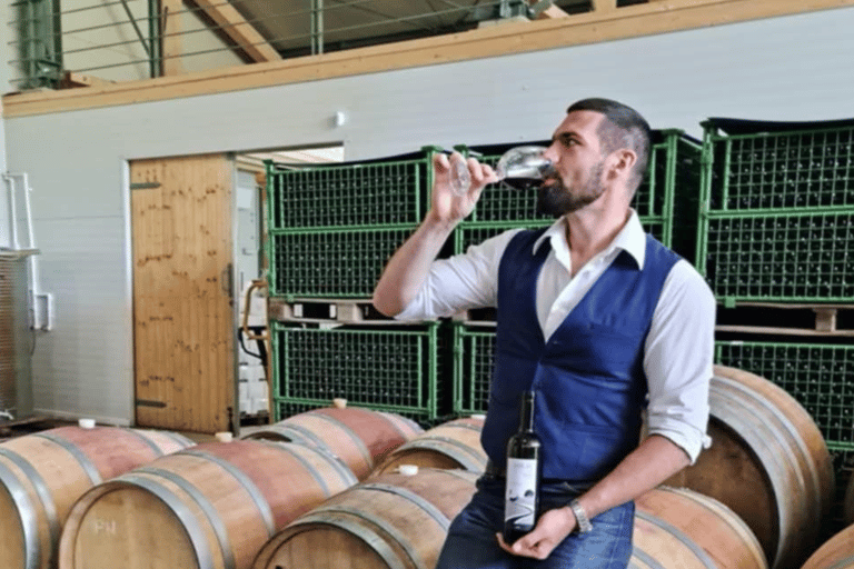 Bucharest: Tour The Wine Road, 2 Boutique Wineries in 1 Day