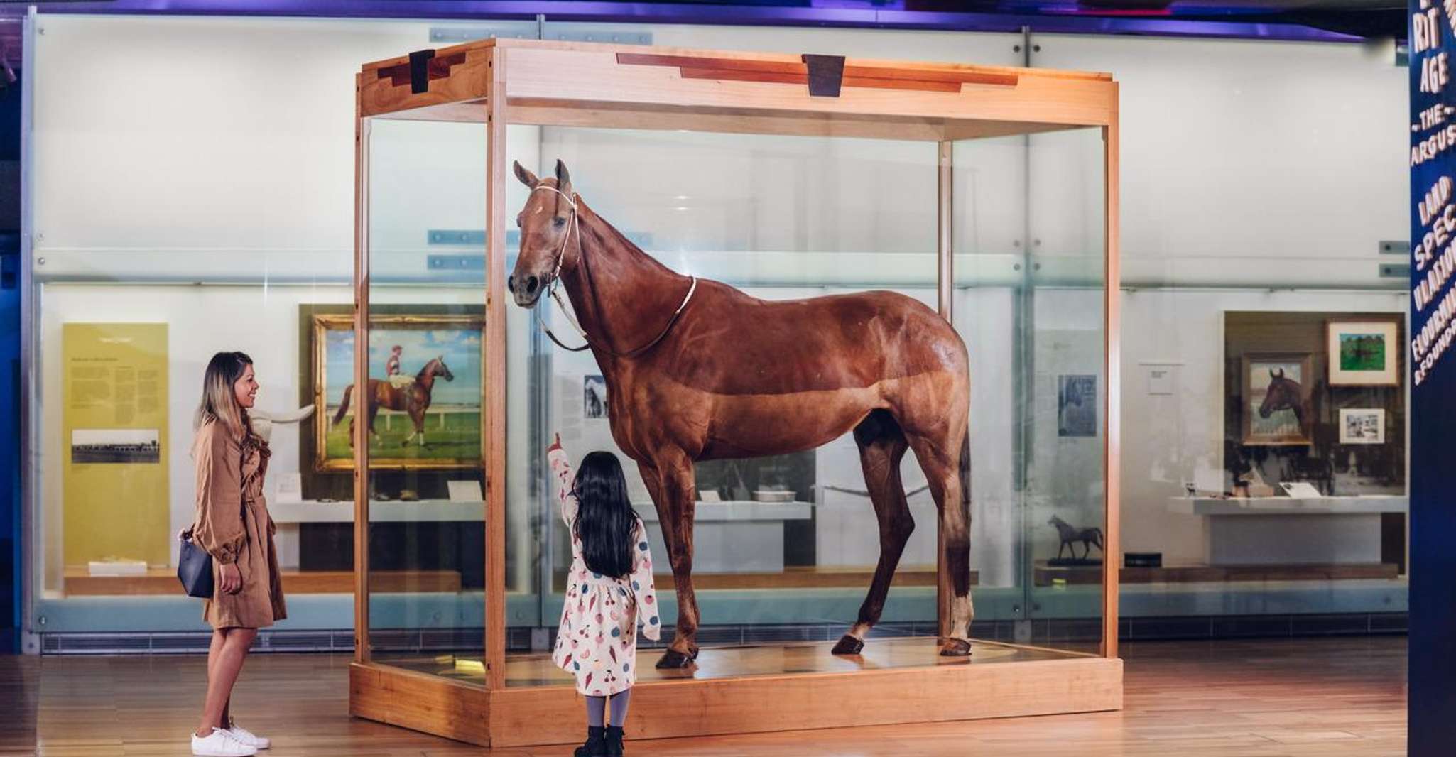 Melbourne: Melbourne Museum Entry Ticket photo 9