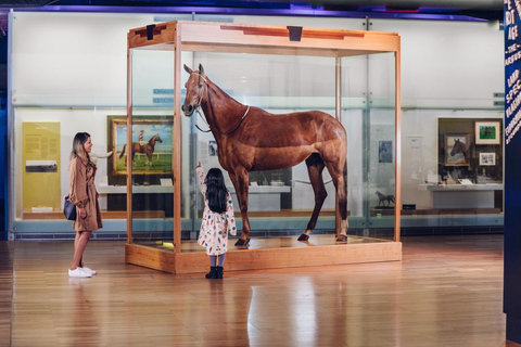 Melbourne: Biglietto d&#039;ingresso al Museo di Melbourne