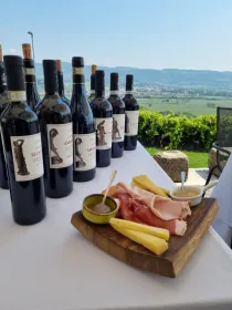 Valpolicella: Weinverkostung auf einer spektakulären Terrasse