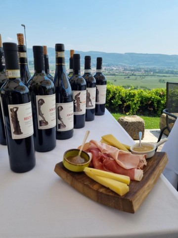 Visit Valpolicella wine tasting on a spectacular terrace in Bardolino, Italy
